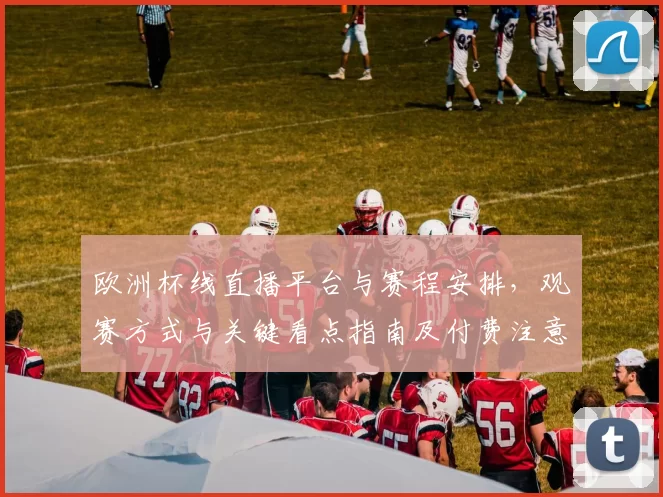 欧洲杯线直播平台与赛程安排，观赛方式与关键看点指南及付费注意事项