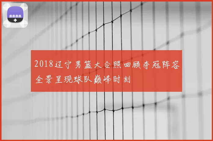 2018辽宁男篮大合照回顾夺冠阵容全景呈现球队巅峰时刻