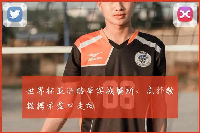 世界杯亚洲赔率实战解析,虎扑数据揭示盘口走向