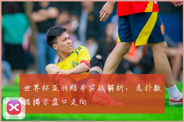 世界杯亚洲赔率实战解析，虎扑数据揭示盘口走向