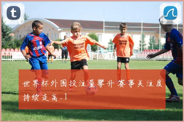 世界杯外围投注量攀升 赛事关注度持续走高_1
